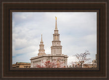 Load image into Gallery viewer, Philadelphia Freedom