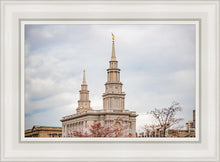 Load image into Gallery viewer, Philadelphia Freedom