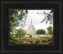 Load image into Gallery viewer, Phoenix Spring Blooms