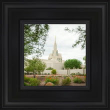 Load image into Gallery viewer, Phoenix Spring Blooms