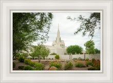 Load image into Gallery viewer, Phoenix Spring Blooms