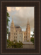Load image into Gallery viewer, Phoenix Temple Cultivating Goodness