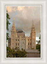 Load image into Gallery viewer, Phoenix Temple Cultivating Goodness
