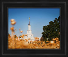 Load image into Gallery viewer, Sacramento Cotton Grass