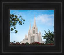 Load image into Gallery viewer, San Diego California Towering Spires