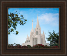 Load image into Gallery viewer, San Diego California Towering Spires