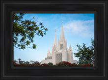 Load image into Gallery viewer, San Diego California Towering Spires
