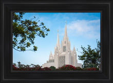 Load image into Gallery viewer, San Diego California Towering Spires