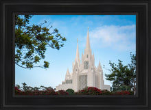Load image into Gallery viewer, San Diego California Towering Spires