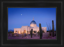 Load image into Gallery viewer, Tucson Cactus Morning