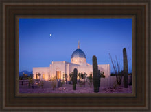 Load image into Gallery viewer, Tucson Cactus Morning