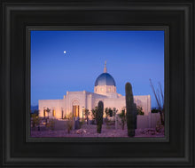 Load image into Gallery viewer, Tucson Cactus Morning