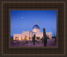 Load image into Gallery viewer, Tucson Cactus Morning