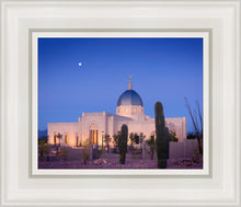 Load image into Gallery viewer, Tucson Cactus Morning