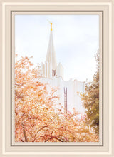 Load image into Gallery viewer, Jordan River Spring Blossoms