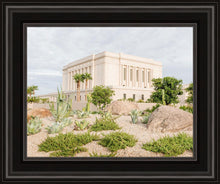 Load image into Gallery viewer, Mesa Arizona He is light