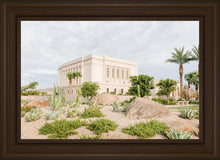 Load image into Gallery viewer, Mesa Arizona He is light