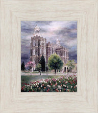 Load image into Gallery viewer, Refuge From The Storm - Logan Temple