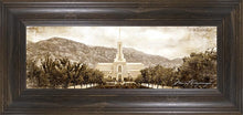 Load image into Gallery viewer, Mount Timpanogos Vintage