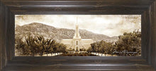 Load image into Gallery viewer, Mount Timpanogos Vintage