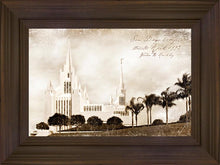 Load image into Gallery viewer, San Diego Vintage