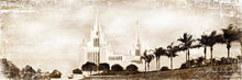 Load image into Gallery viewer, San Diego Vintage