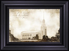 Load image into Gallery viewer, Twin Falls Vintage
