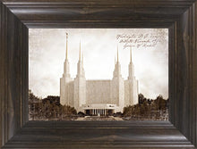 Load image into Gallery viewer, Washington DC Vintage