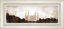 Load image into Gallery viewer, Washington DC Vintage