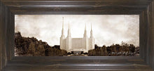 Load image into Gallery viewer, Washington DC Vintage