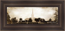 Load image into Gallery viewer, Orlando Vintage