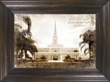 Load image into Gallery viewer, Orlando Vintage