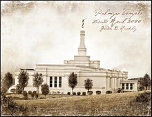 Load image into Gallery viewer, Palmyra Vintage