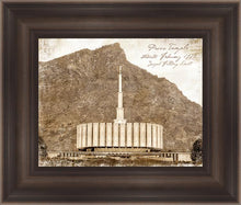 Load image into Gallery viewer, Provo Vintage