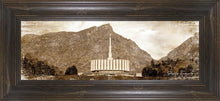 Load image into Gallery viewer, Provo Vintage