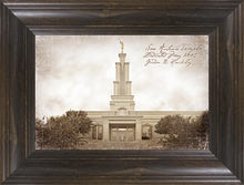 Load image into Gallery viewer, San Antonio Vintage