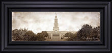 Load image into Gallery viewer, San Antonio Vintage