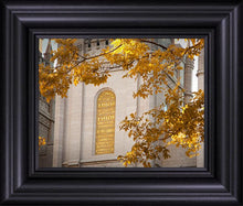 Load image into Gallery viewer, Salt Lake Autumn Leaves