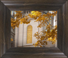 Load image into Gallery viewer, Salt Lake Autumn Leaves