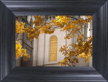 Load image into Gallery viewer, Salt Lake Autumn Leaves