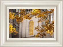 Load image into Gallery viewer, Salt Lake Autumn Leaves