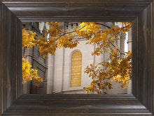 Load image into Gallery viewer, Salt Lake Autumn Leaves