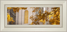 Load image into Gallery viewer, Salt Lake Autumn Leaves