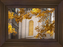 Load image into Gallery viewer, Salt Lake Autumn Leaves