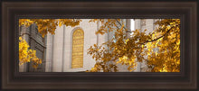 Load image into Gallery viewer, Salt Lake Autumn Leaves