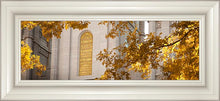 Load image into Gallery viewer, Salt Lake Autumn Leaves