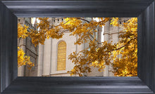 Load image into Gallery viewer, Salt Lake Autumn Leaves