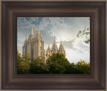 Load image into Gallery viewer, Salt Lake Early Evening