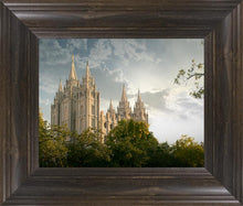Load image into Gallery viewer, Salt Lake Early Evening