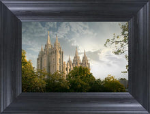 Load image into Gallery viewer, Salt Lake Early Evening